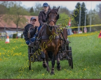 1POSIEUX 0456
